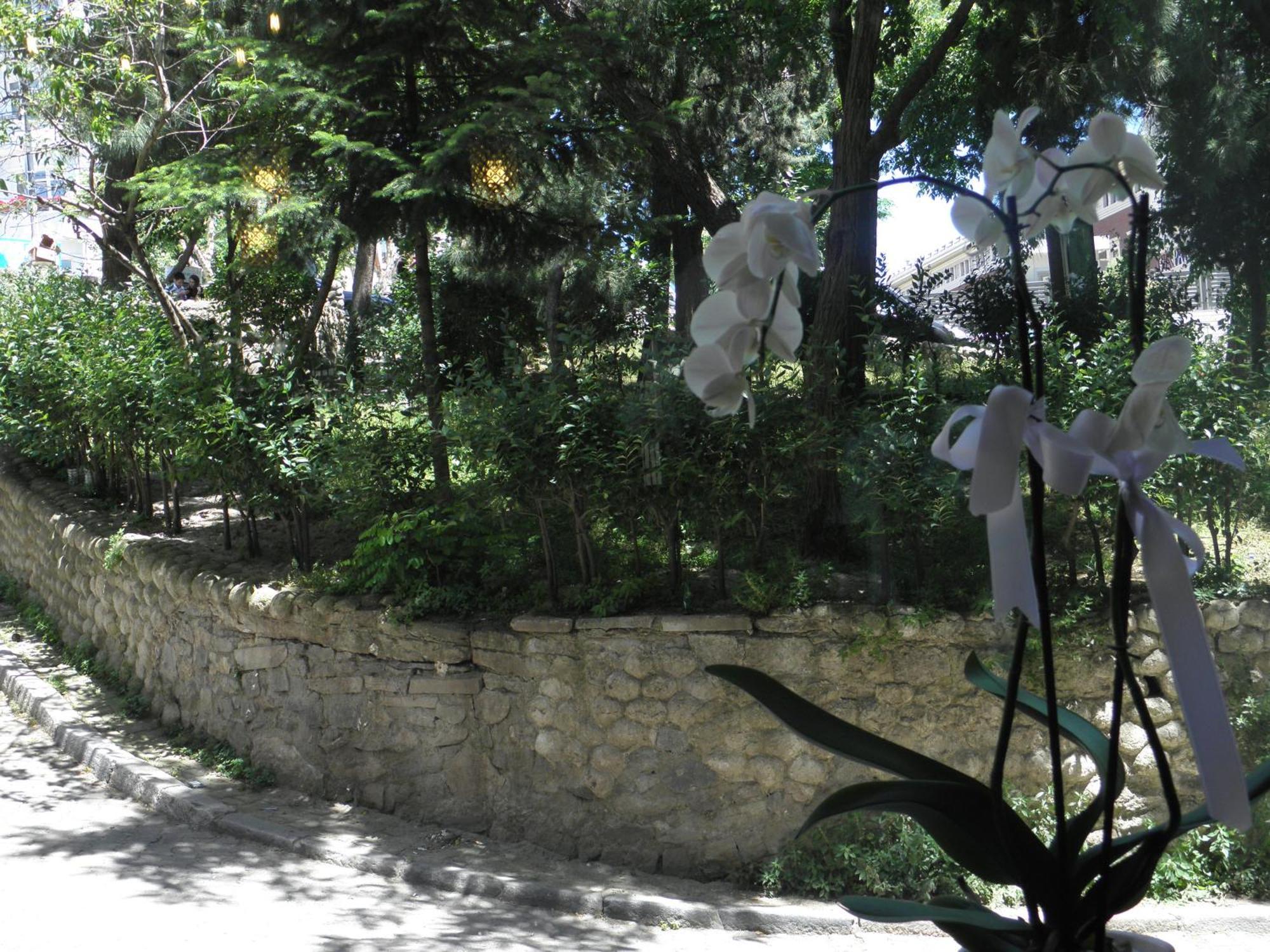 Omar Sultan Park Suites Istanbul Luaran gambar